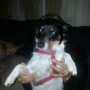 Meet your Posher, Debbie